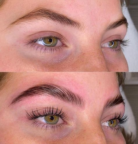 Lash and Brow Lifting